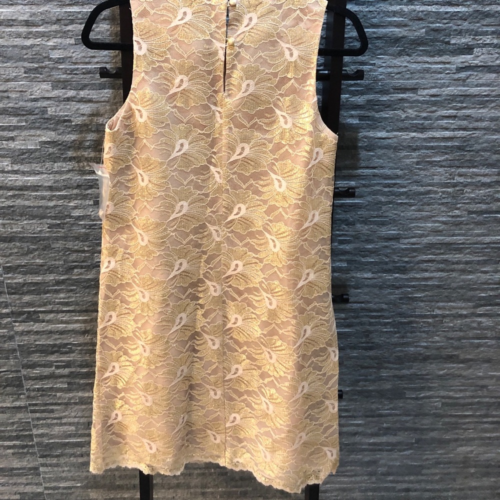Ann Taylor Gold Lace Dress - Picture 5 of 8